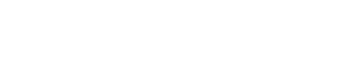 The Verge Text Logo